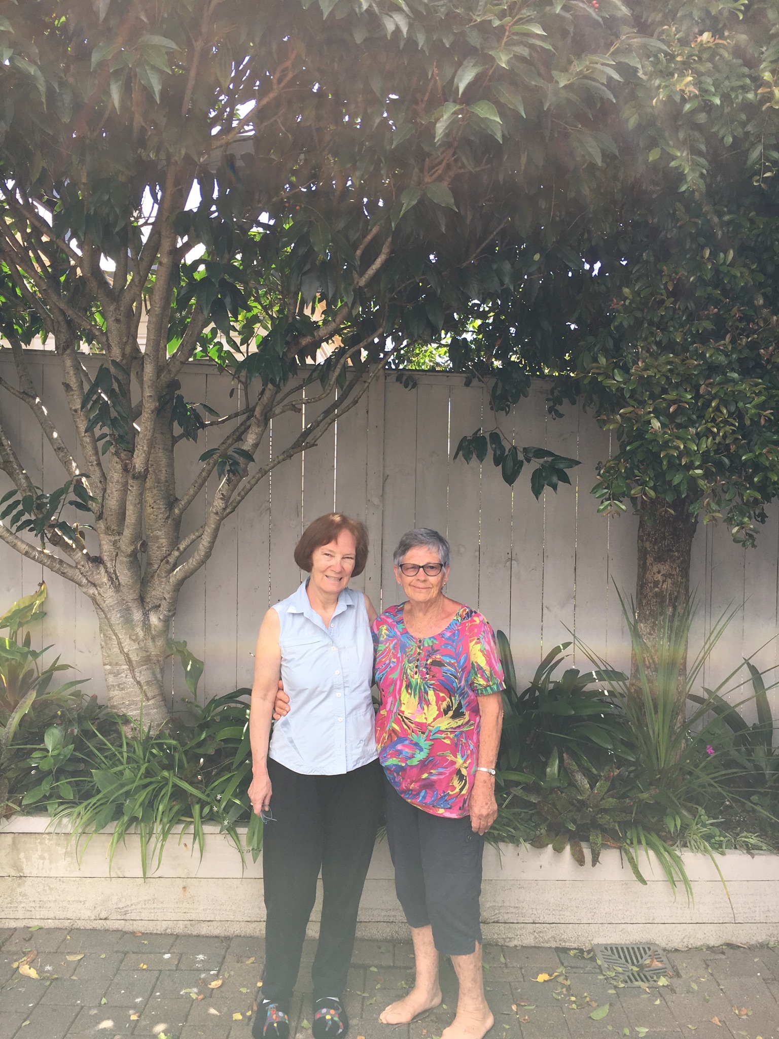 01600BF6-1625-4478-8DCB-BF06E4369081