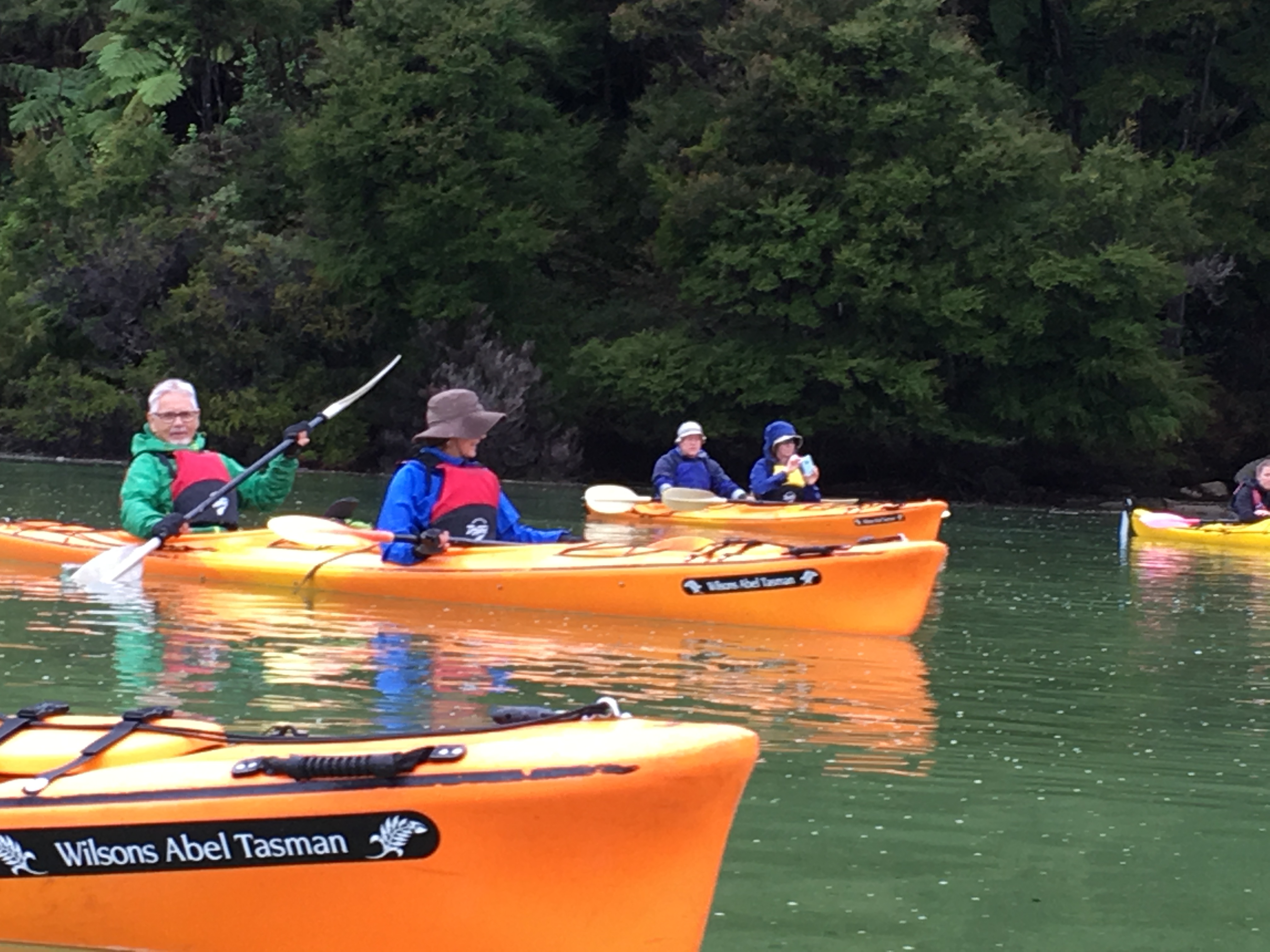 B07466DF-1E25-4405-856B-C354A63D3D41