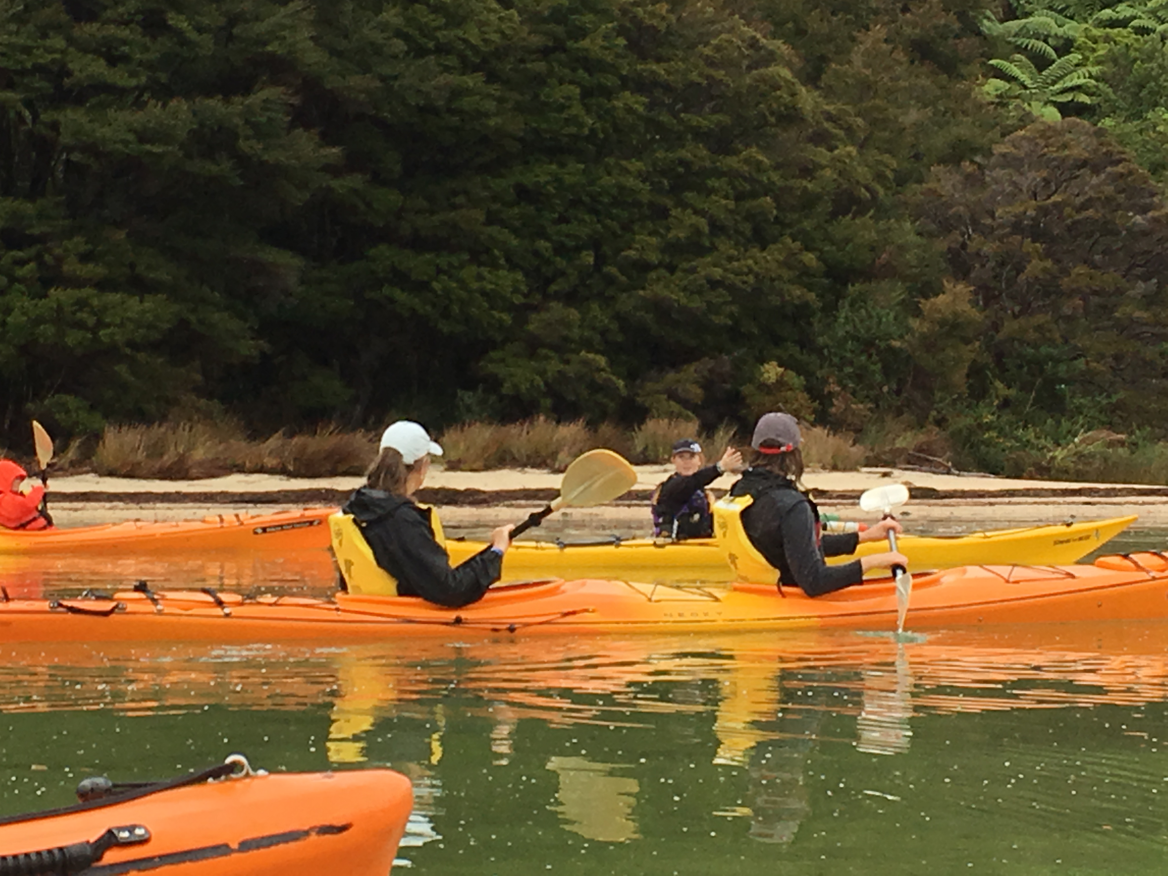 FE3BCBAC-E779-4B3A-B24A-095696435077