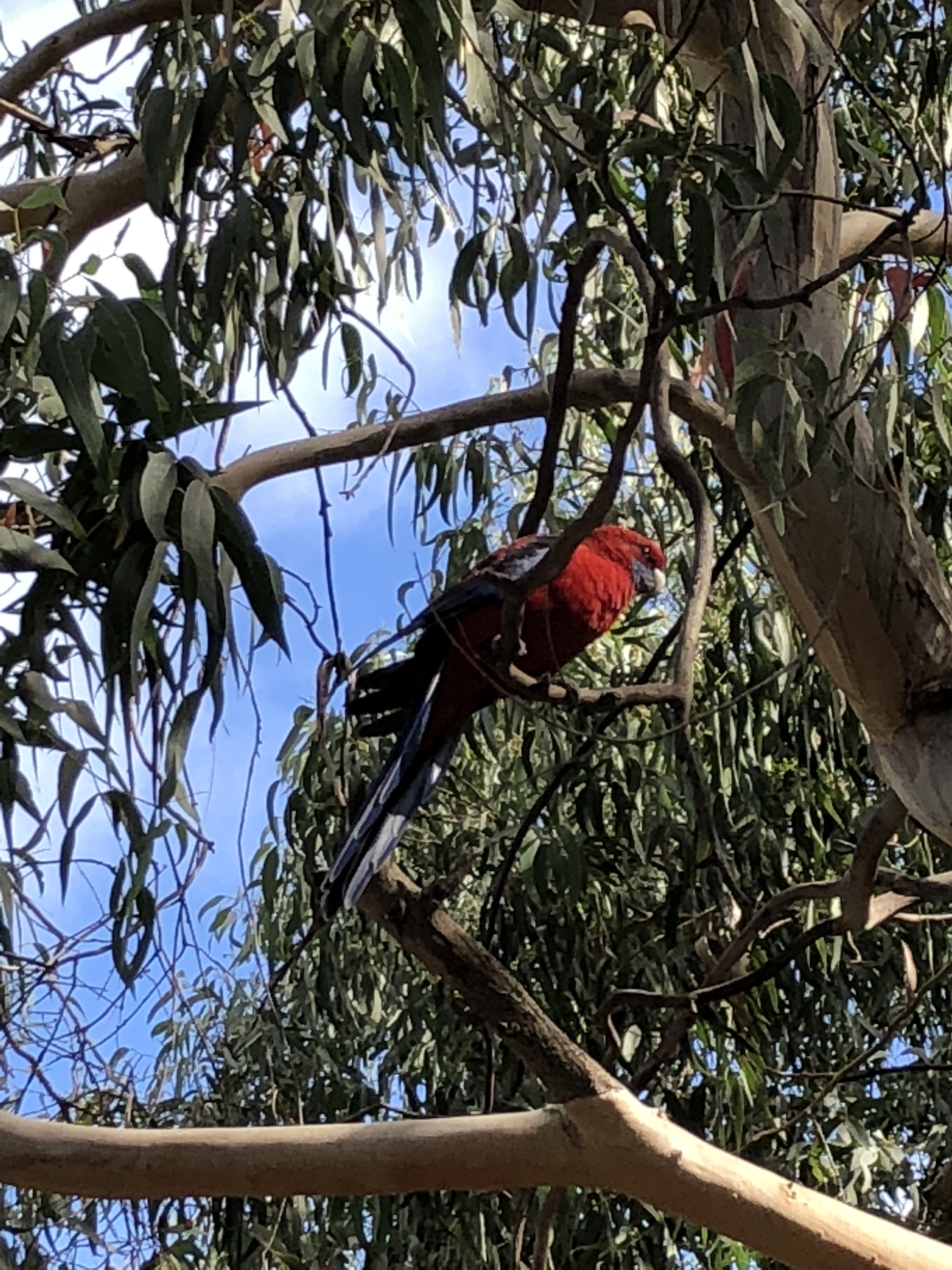 23F7F70A-AF4C-4B3D-B675-5421FD6FE02E