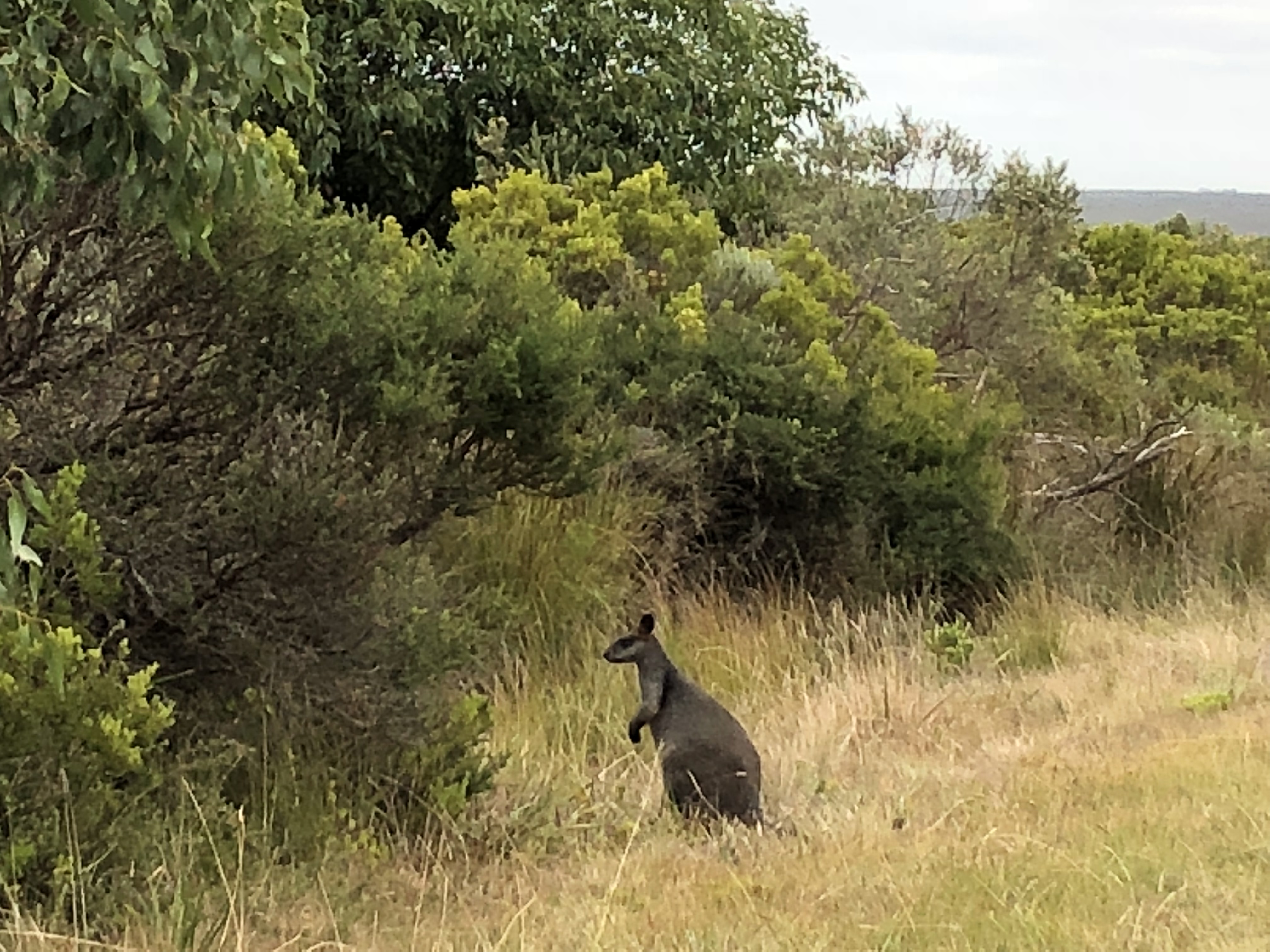 86BAAC14-7E55-4357-9A58-9218A2FCE94A