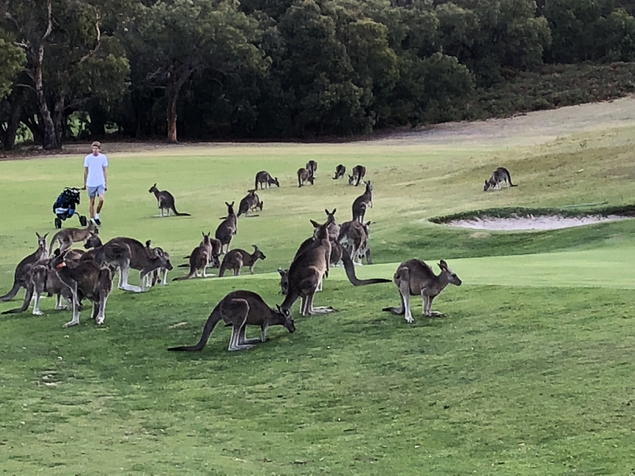 C395EE94-A08C-4593-9AE9-D4A85EFACA77