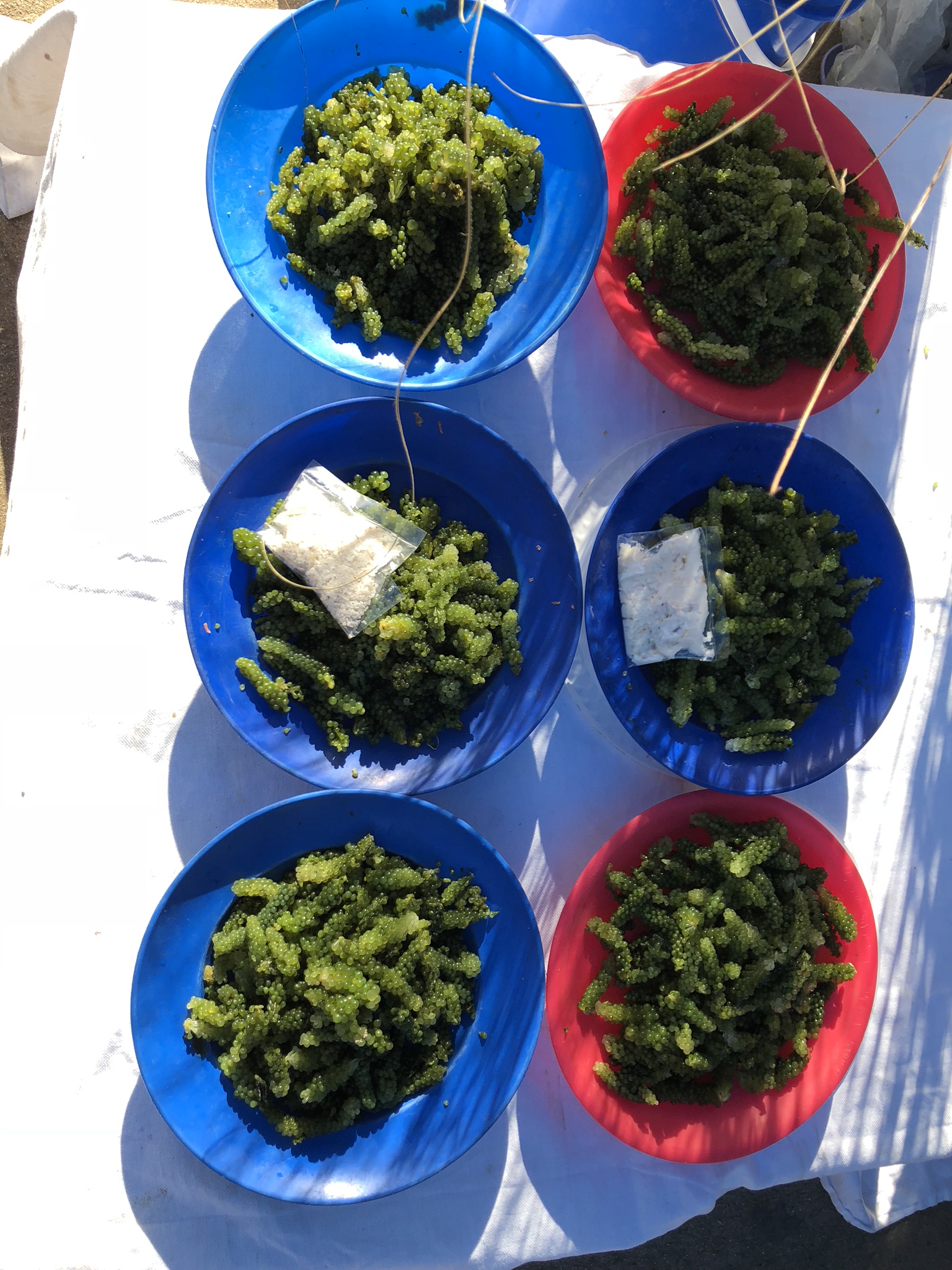 F7D80B5D-A60C-44F5-9AFD-ADA25373A790