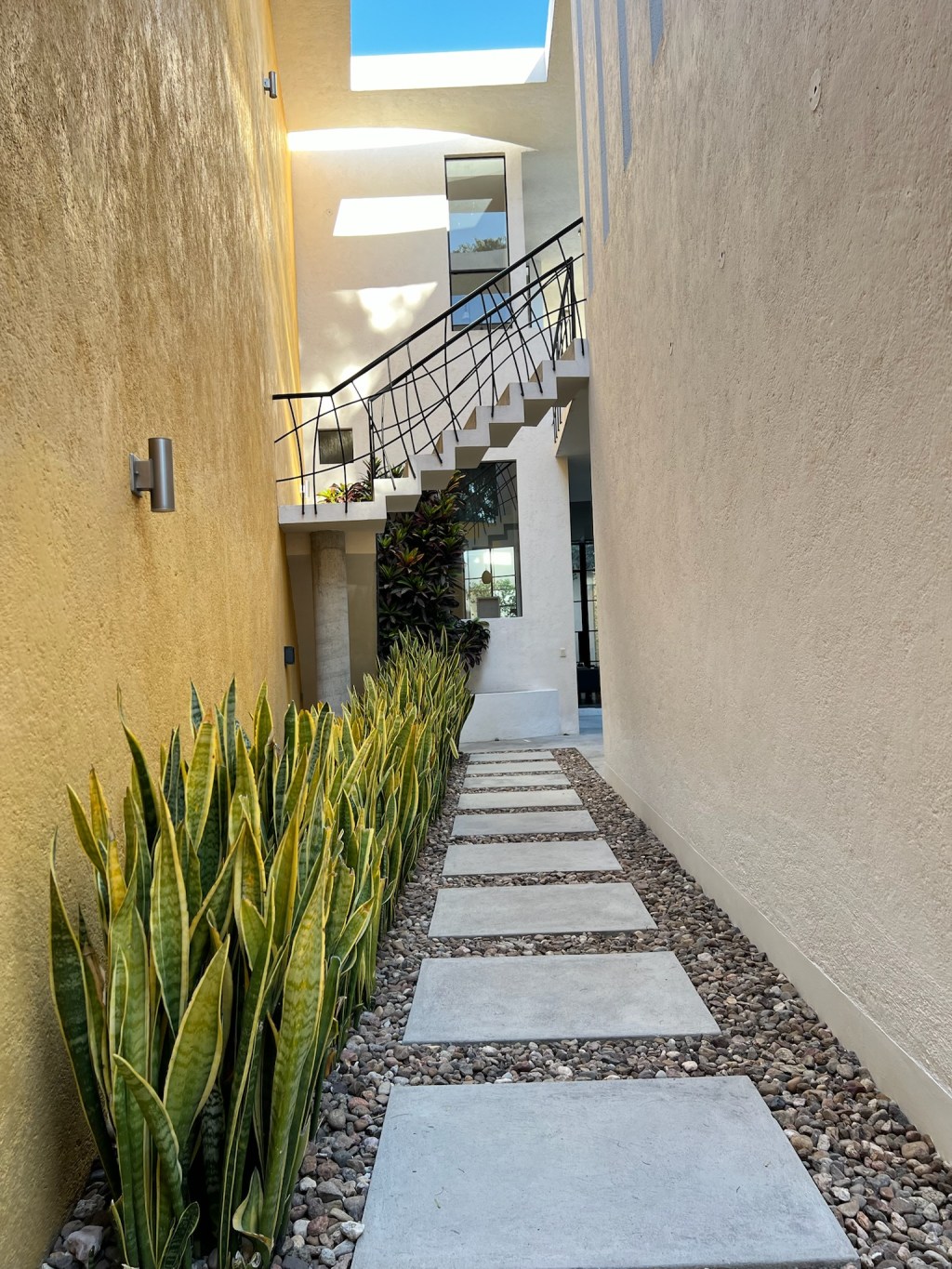 February 18, San Miguel de Allende